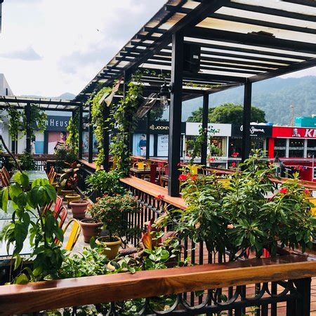 Himalayan Roots, Haldwani - Restaurant Reviews, Phone Number & Photos ...