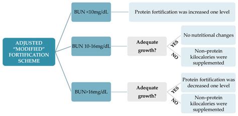 Adjusted versus Targeted Fortification in Extremely Low Birth Weight ...
