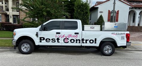 Rodent Control Orlando FL | LydyBug Pest Control