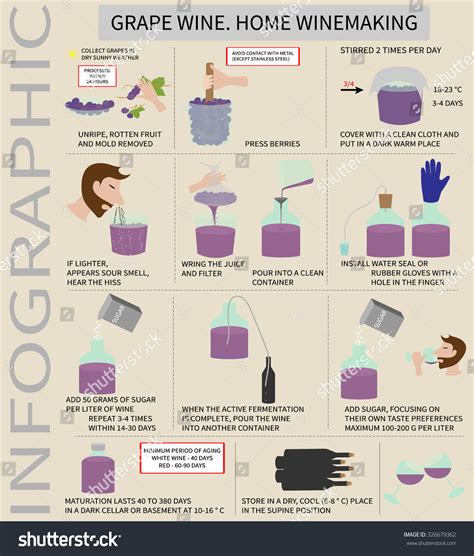 Image result for Easy Homemade Wine Using Grapes