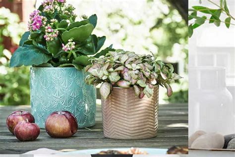 Odlične IKEA ideje za dekoraciju doma – Uređenje doma i interijera