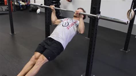 Image result for Inverted Row Which Muscles Worked