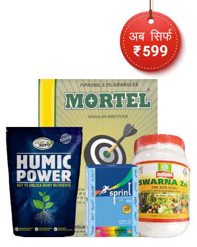 अॅग्रोस्टार पोषण संरक्षण कोम्बो PADDY NURSERY PREPARTION KIT-UP - अ ...