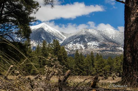 Flagstaff Az Elevation at Adriana Fishburn blog