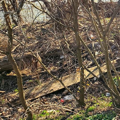 WINTON WOODS CAMPGROUND (Cincinnati) - Campground Reviews & Photos ...