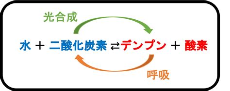 Learn OS Module Python From Beginning に対する画像結果