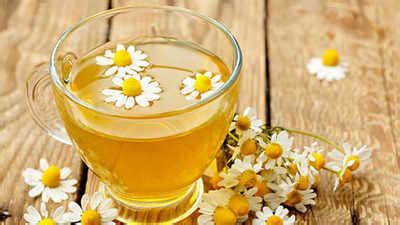 Chamomile Tea Benefits: Here's why you should take a sip of Chamomile ...