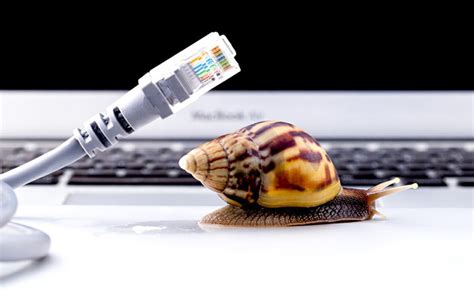 Image result for How to Reset Computer Adapter