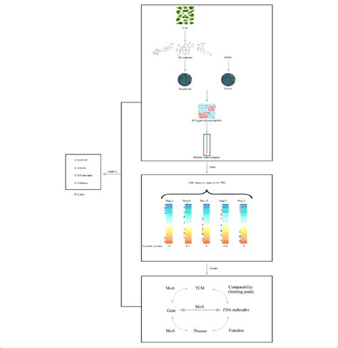 Connectivity Map 的图像结果