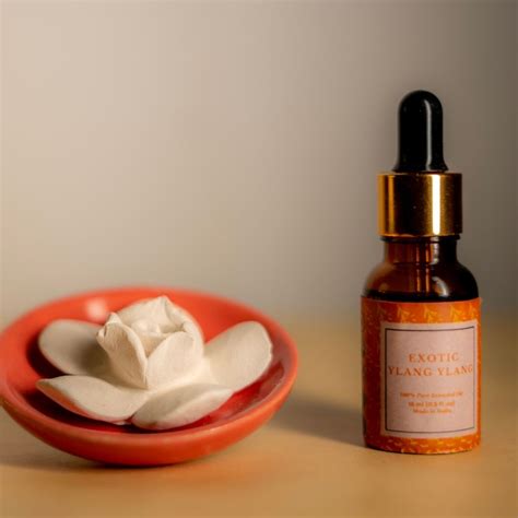 Essential Oil Kit | Buy Essential Oil Kit for Happy Life – The Style Salad