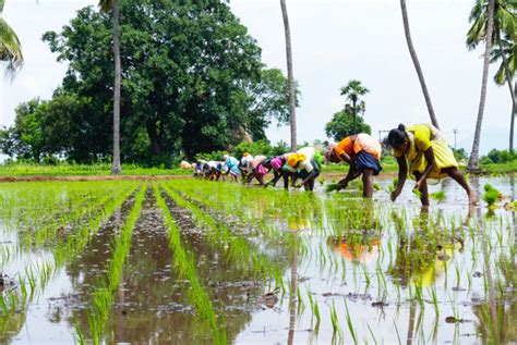 Why do our farmers and farm labour get the lowest wage rates?