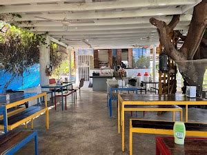 Where to eat in Vieques (Updated Mar 2025)