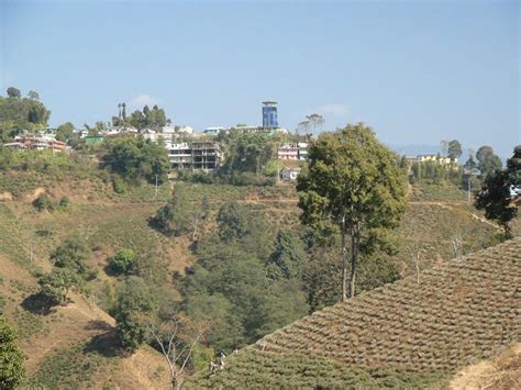 Ilam Tourism (2021): Best of Ilam, Nepal - Tripadvisor