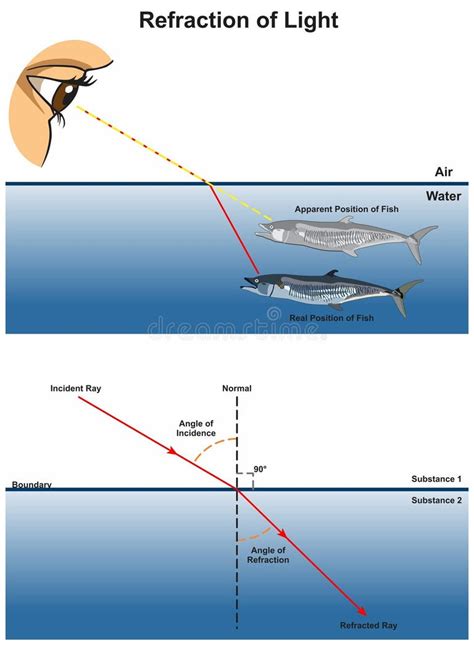 Image result for Example of Refraction of Light