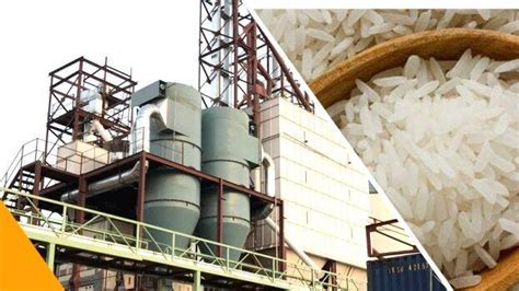 നെല്ല് സംഭരണം: അതിരമ്പുഴയിൽ റൈസ് മിൽ ഉടൻ - LOCAL - KOTTAYAM | Kerala ...