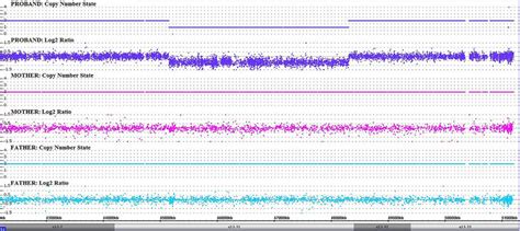 Chromosome Microarray Analysis 的图像结果
