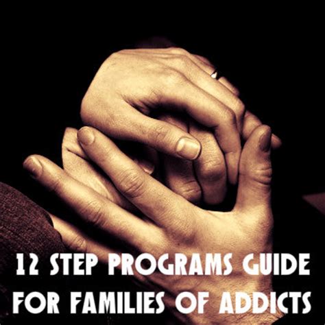Image result for The 12 Step Program for Addicts