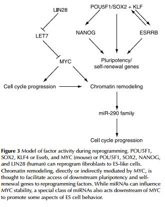 Image result for Reprogramming Script