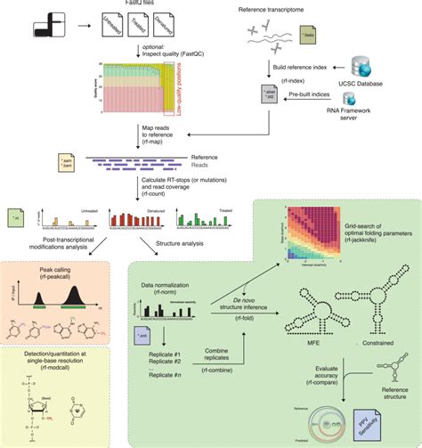 RNA Sequencing Method 的图像结果
