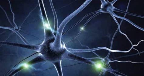 Discovered -- new type of brain cells with different signalling pattern ...