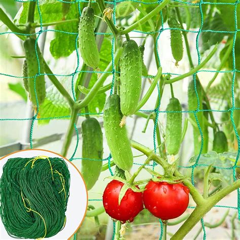 WNE Jaliwale Plant Climbing net & Creeper Net & Plant Trellis Net Plant ...