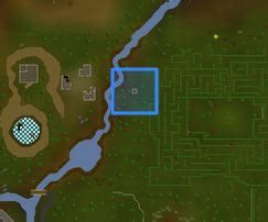 Image result for OSRS Tree Patches