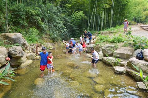 小溪边玩水，山里树荫下的溪水很清很凉爽，避暑好去处，山泉水透心凉有点甜 - YouTube
