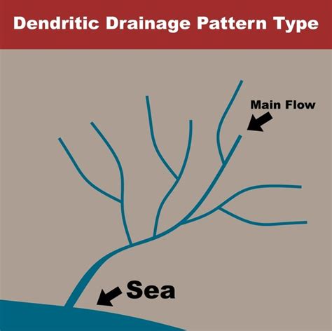 Dendritic Pattern 的图像结果