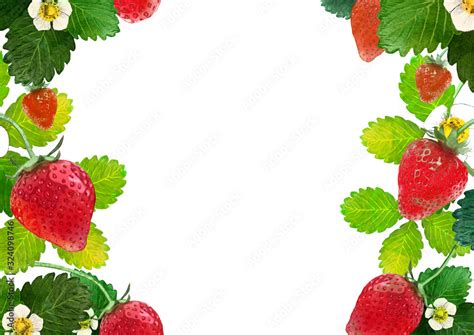 Image result for How Make Android App From Scratch Website