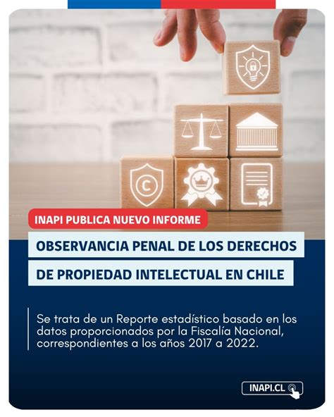 Image result for Inapi Chile