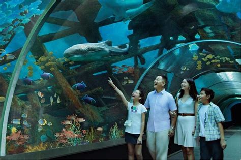 (2026 Tickets) S.E.A. Aquarium Ticket Sentosa, Singapore - with Reviews