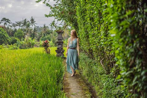 Young woman tourist in Bali walks along the narrow cozy streets of Ubud. Bali is a popular ... - nest of happiness ubud
