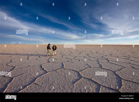 Image result for Input Examples Science