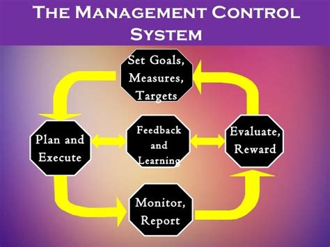 Image result for Management Control System Explained