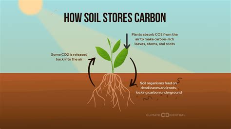 Solutions Series: Capturing Carbon in Soil | Climate Central