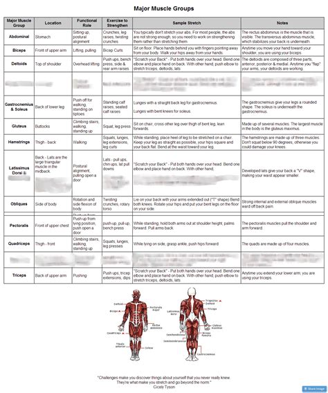 10 Major Muscle Groups