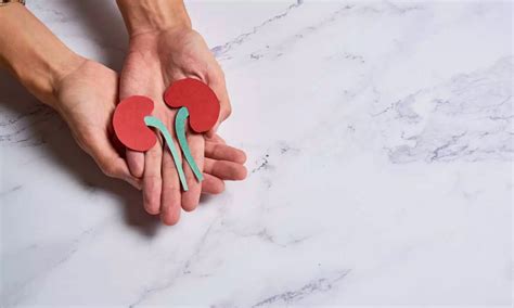 AI-based algorithm predicts serious kidney-related complications after ...