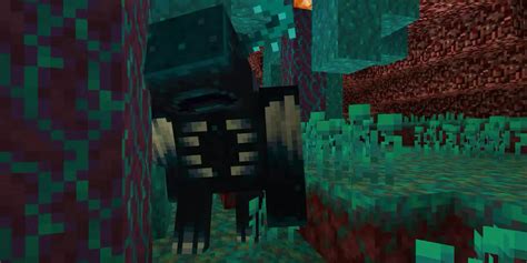 Commande Block Warden Minecraft 的图像结果