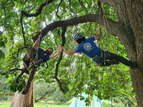 Climb That Tree 的图像结果