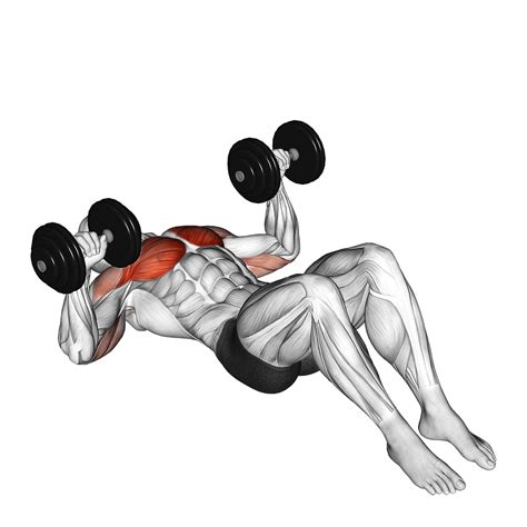 Flat Dumbbell Press