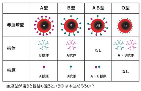 血液型性格分類、実は疑似科学？日米1万人の調査から解析！ - Yes，We Love Science！