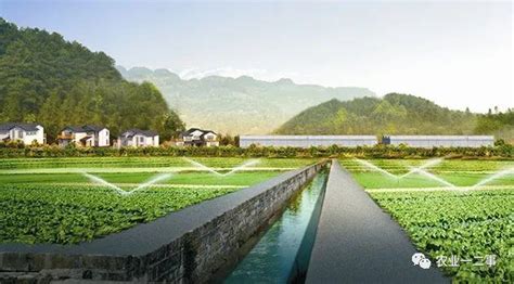 2011中国水稻生态农业报告 – 绿色和平