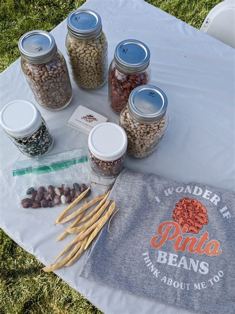 Colorado Beans at CSU Ag Day 2023 - Colorado Dry Beans