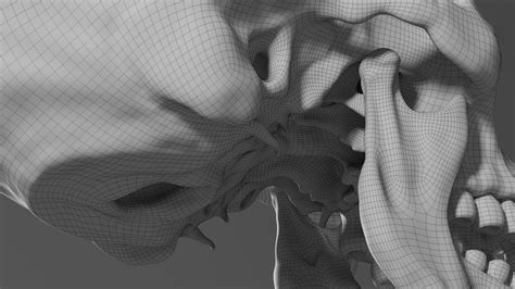 Human Skull Realistic - 3D Model by gabrielgardiman