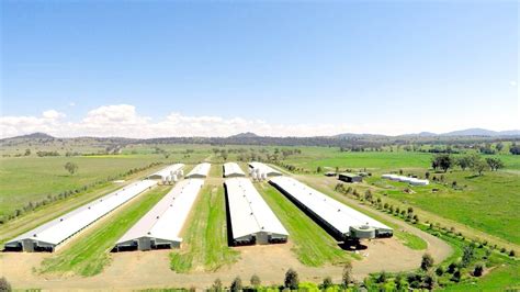 Farmbuy.Com Guide To Best Poultry Farms For Sale