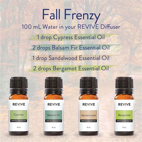 Christmas Diffuser Blends 2024 - REVIVE Essential Oils