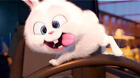 Snowball The Secret Life Of Pets Wallpapers - Wallpaper Cave