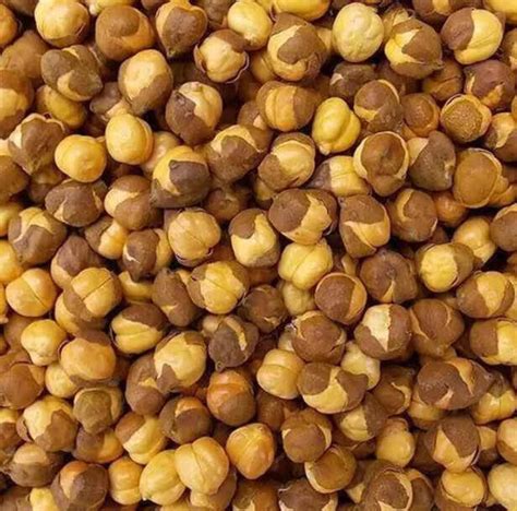 Why You Should Eat Gur Chana Every Morning? Benefits, Nutrition & Who ...