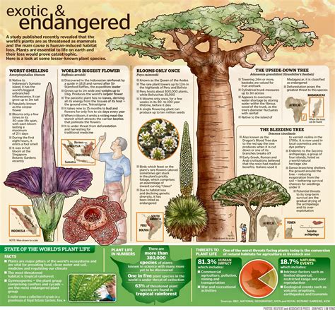 Extinct Plants