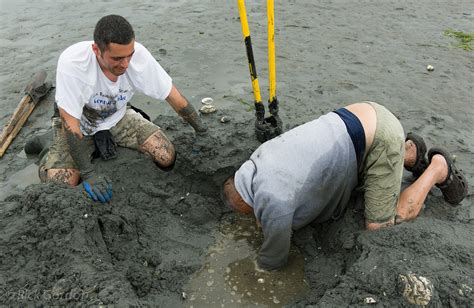 Image result for Geoduck Digging